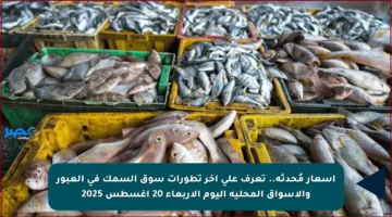 أسعار مُحدثة.. تعرف على آخر تطورات سوق السمك في العبور والأسواق المحلية اليوم الأربعاء 20 أغسطس 2025